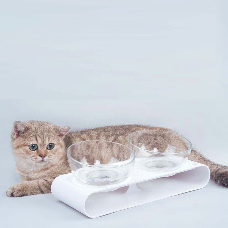 Erhöhte Tierfutter-Schüssel mit Stand perfekt für Katzen und kleine Hunde Futter-Fütter-Schüssel