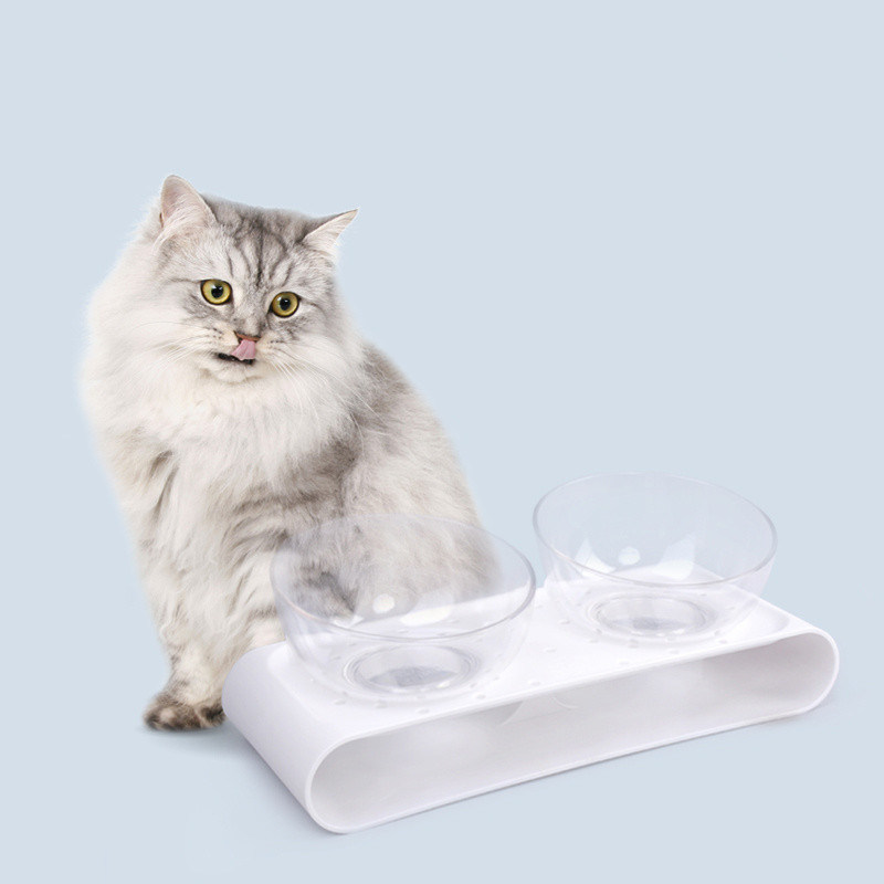 Erhöhte Tierfutter-Schüssel mit Stand perfekt für Katzen und kleine Hunde Futter-Fütter-Schüssel